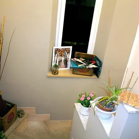 Bed & Breakfast Il Lauro